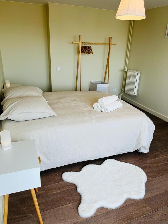 Espace 500 - Cosy, Wifi & Vue Sur La Ville Saint-Etienne  Luaran gambar